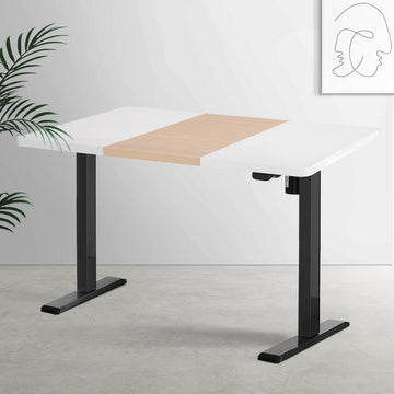 Artiss Motorised Standing Desk Black Dual Motor Height Adjustable 120CM