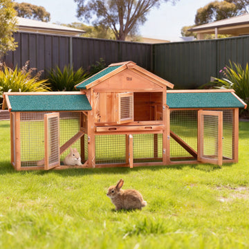 i.Pet Extra Large Chicken Coop and Rabbit Hutch with Sleeping Area