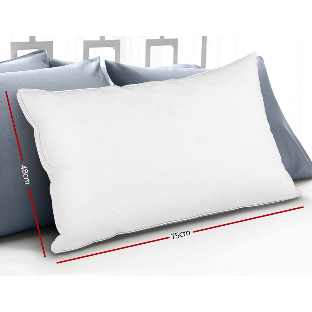 Giselle Bedding Goose Feather Down Pillow Twin Pack Luxury