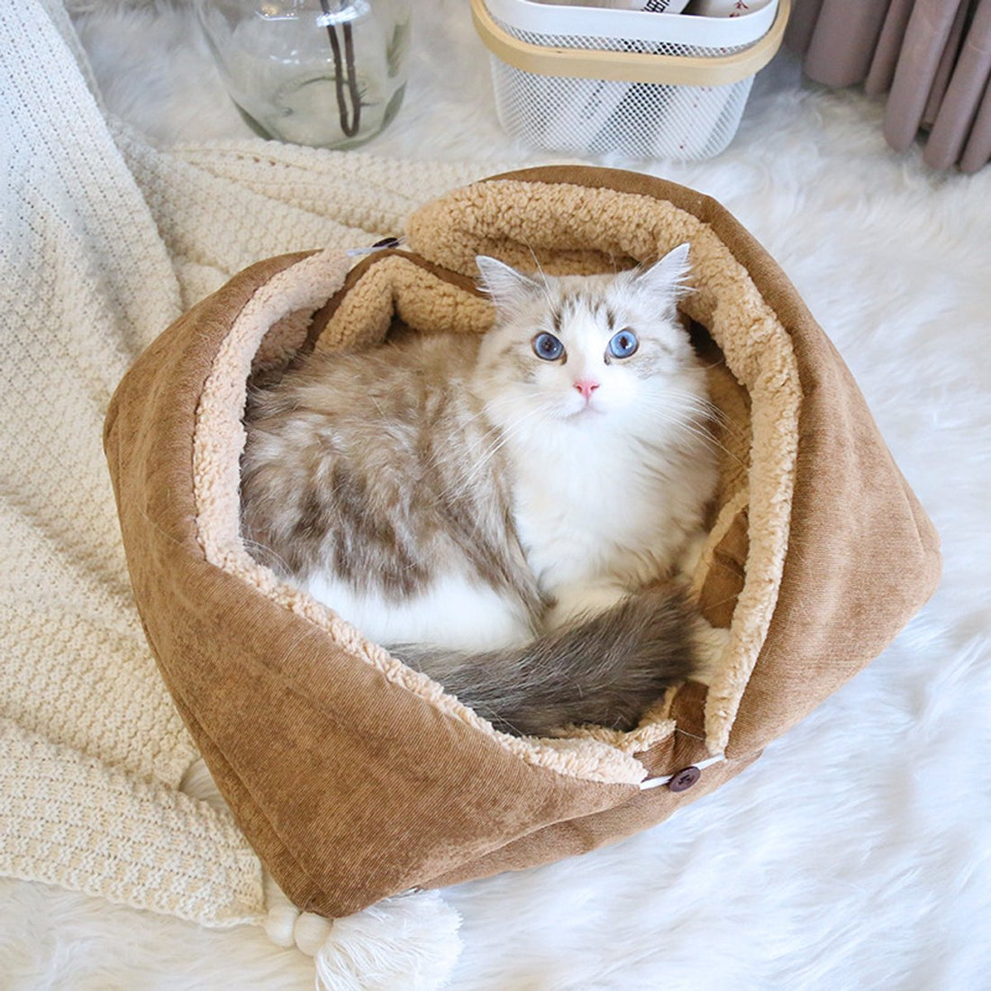 2-in-1 Foldable Pet Mat Warm Wool-Like 70x50cm for Small Pets
