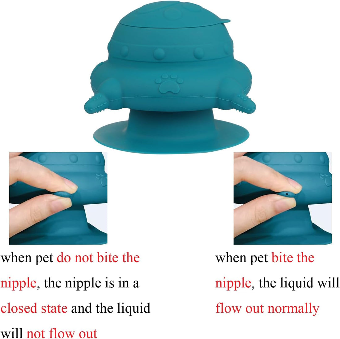 Vortaz 4-Teat Puppy Kitten Feeder Silicone Multi-Pet Bowl Blue