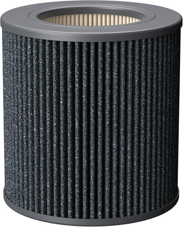 Molekule Air Mini Plus HEPA Replacement Filter 2 Pack with Carbon