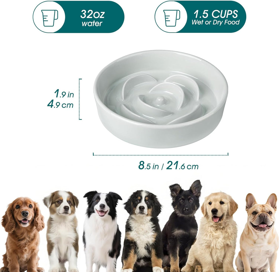 Ceramic Slow Feeder Dog Bowl 1.5 Cup Puzzle Feeding Cyan