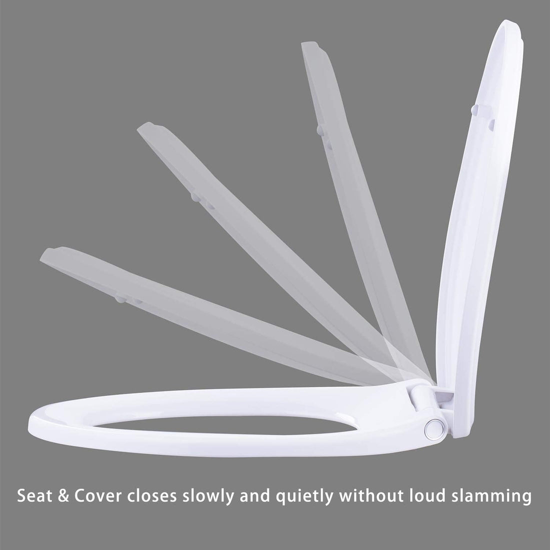 Vortaz Elongated Toilet Seat Bidet with Quiet-Close Feature