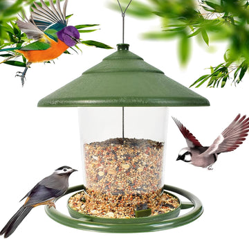Hanging Bird Feeder Station with 360-Degree Perch and Dome Roof Clear