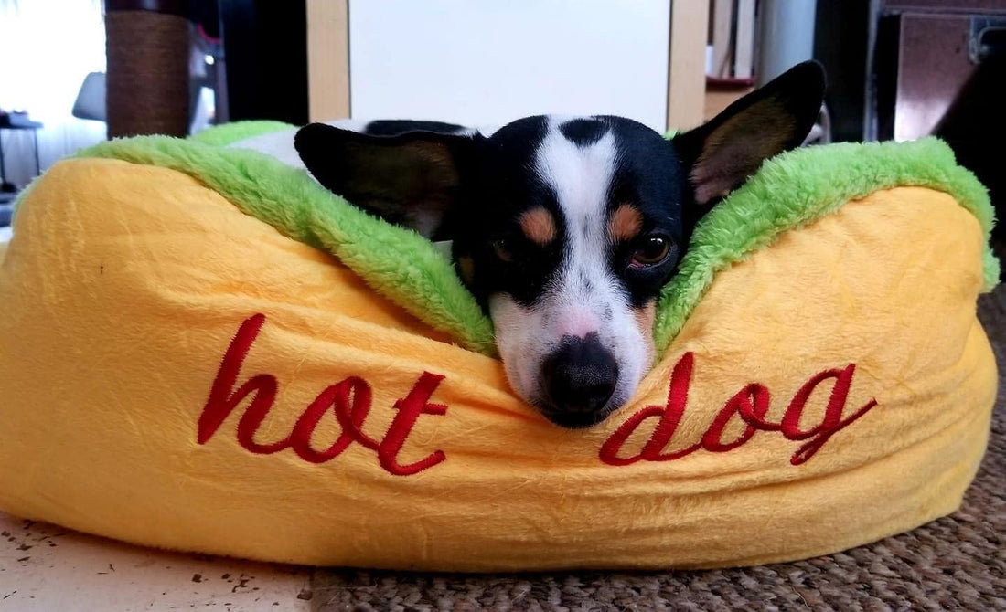 Hotdog Design Small Dog Bed Soft Removable Washable Mat Grey