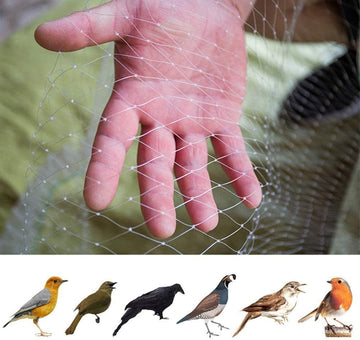 Reusable Garden Bird Netting 5x10m Mesh 2.5cm UV-Resistant Plant Protection Net