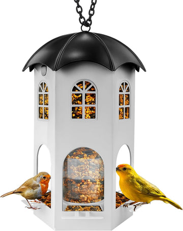 Squirrel Proof Metal Bird Feeder 4lb Seed Capacity Outdoor
