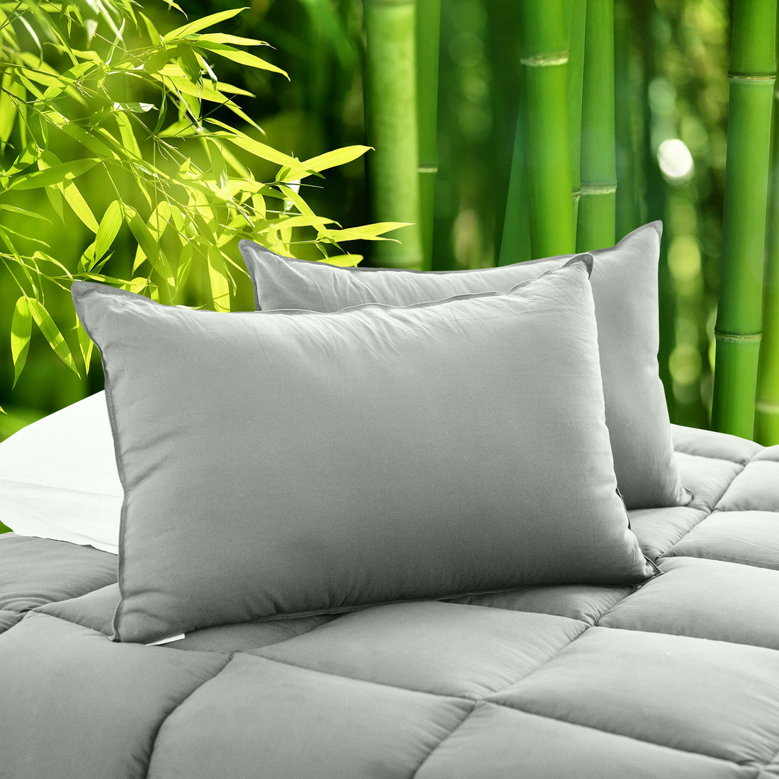 Royal Comfort Charcoal Bamboo Pillow Twin Pack 50x75cm Hypoallergenic