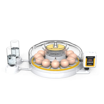 Automatic 12 Egg Incubator Digital Dual Power Battery Backup 360° View