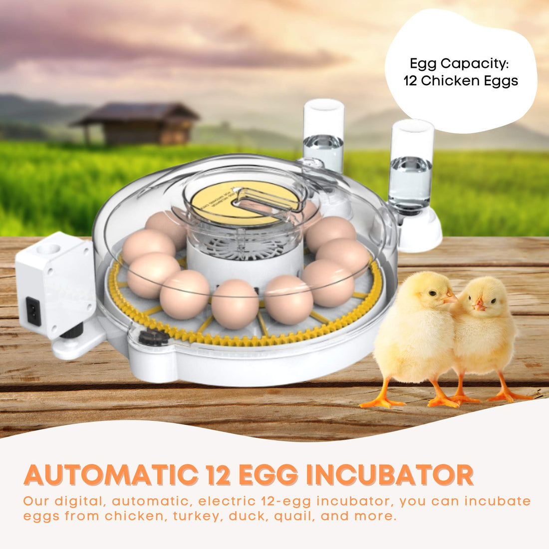 Automatic 12 Egg Incubator Digital Dual Power Battery Backup 360° View