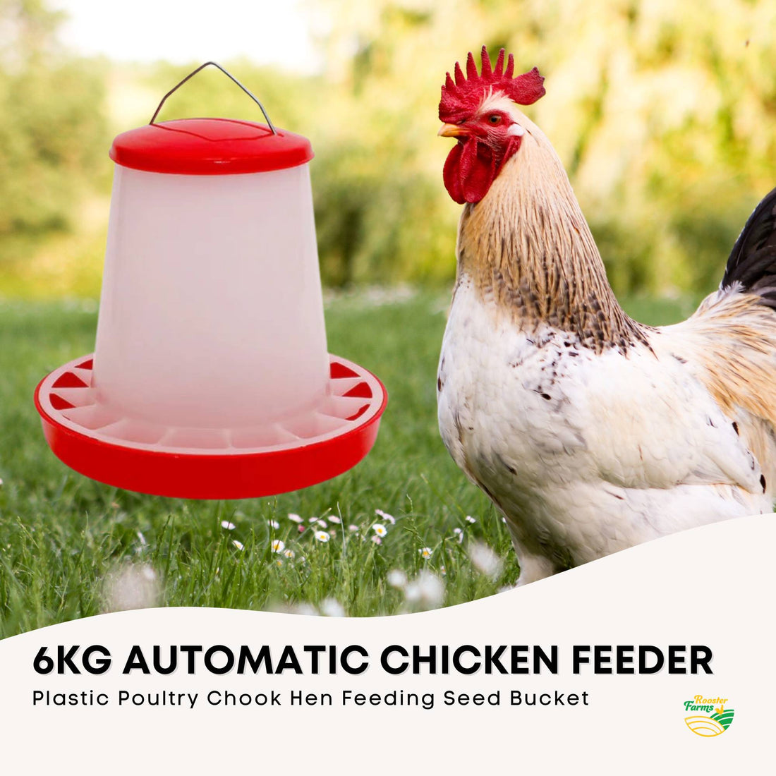 Rooster Farms 6kg Automatic Chicken Feeder Poultry Feed Bucket