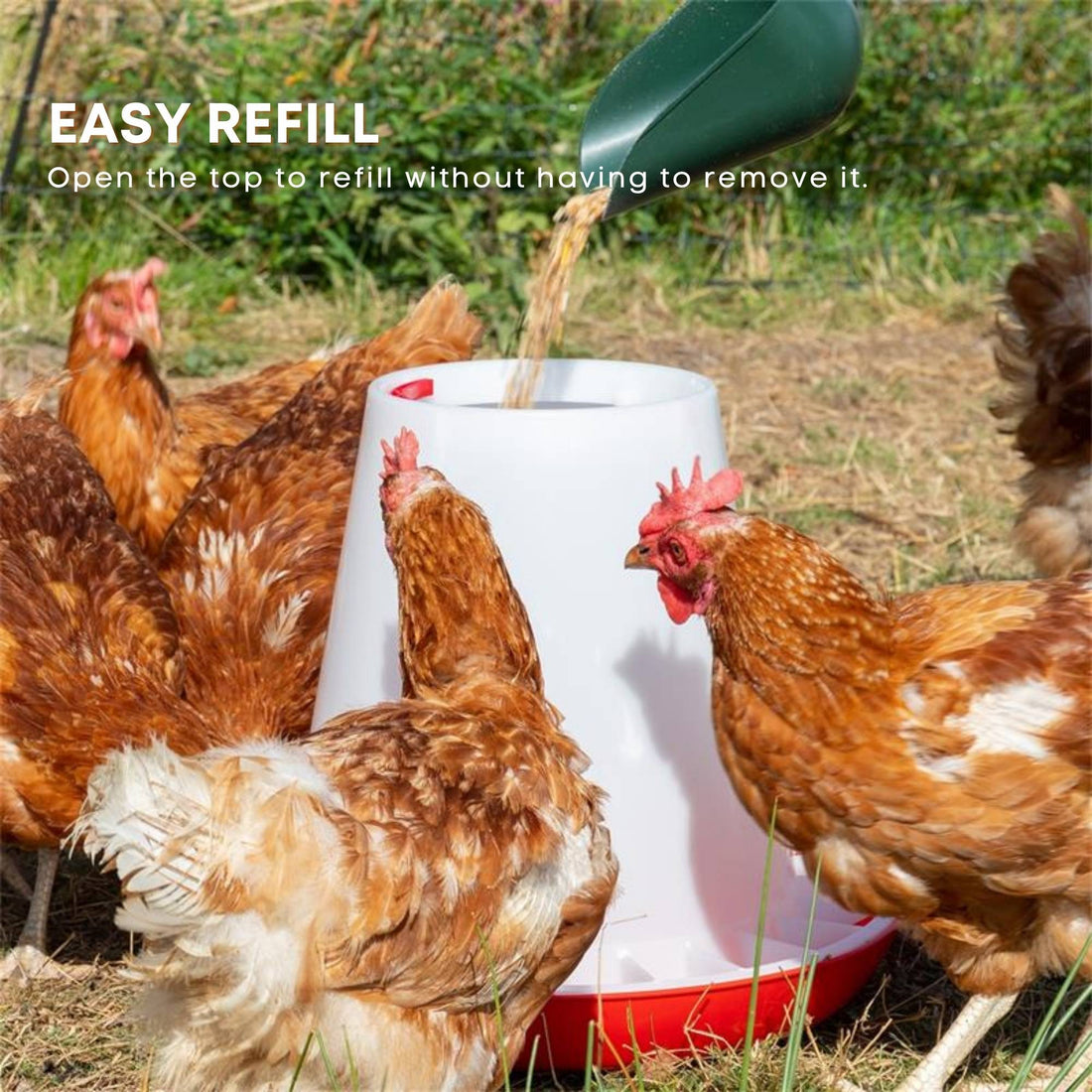Rooster Farms 1.5kg Automatic Chicken Feeder Poultry Feed Bucket