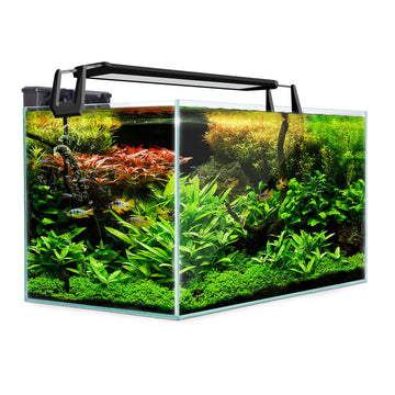 Dynamic Power Starfire Glass Aquarium 70L with LED Light and Filter Pump