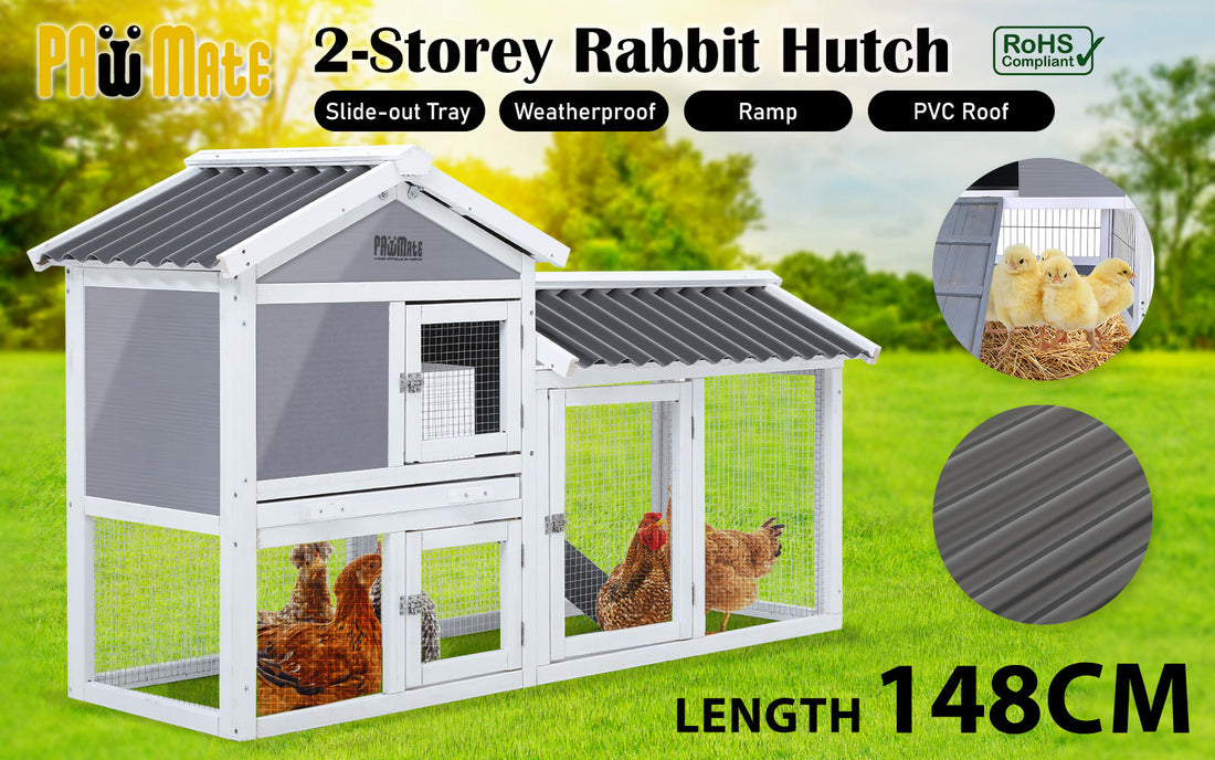 Paw Mate GRACIE Double Storey Rabbit Hutch Polycarbonate 147cm