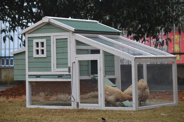 YES4PETS Green Large Chicken Coop Hutch for 5 Chickens