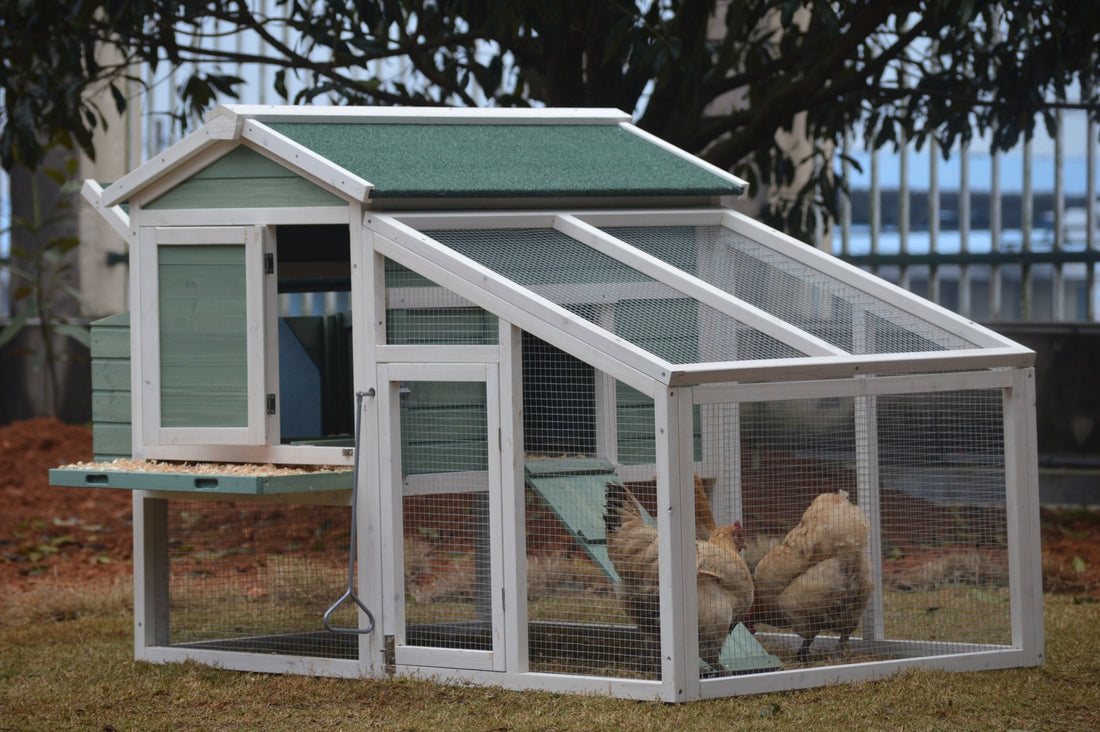 YES4PETS Green Large Chicken Coop Hutch for 5 Chickens