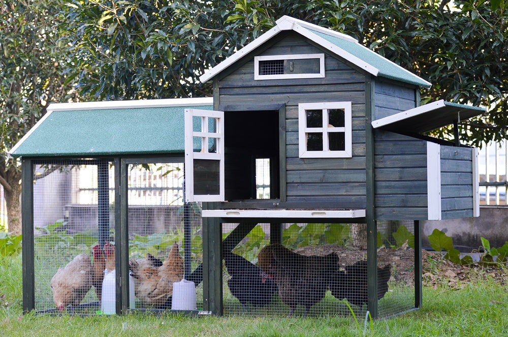YES4PETS XL Chicken Coop Rabbit Hutch 224cm Holds 8 Hens