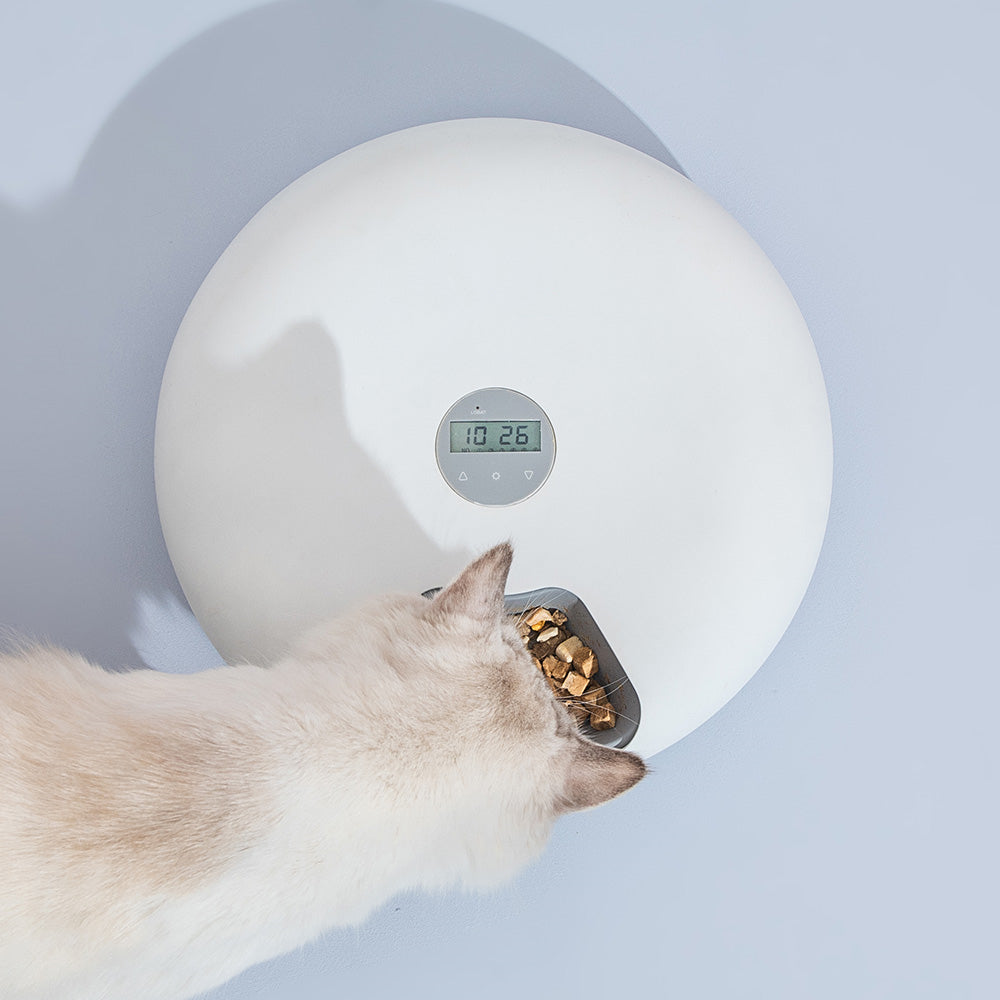 6 Meal Automatic Pet Feeder Timer White 180ML