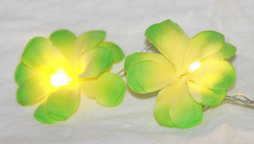 Vortaz LED Frangipani Flower String Lights Green 20 Flowers Battery 3m