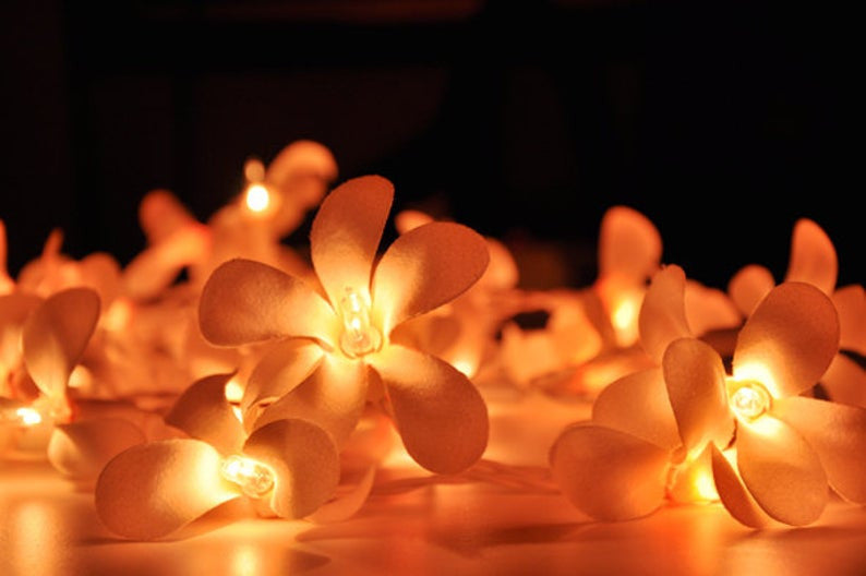 Vortaz LED Frangipani Flower String Lights Orange 20 Flowers Battery 3m