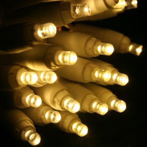 Vortaz LED String Lights Warm White 20 Bulbs Battery Powered 3m Wire
