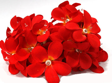 Vortaz LED Frangipani Flower String Lights Deep Red 20 Flowers Battery