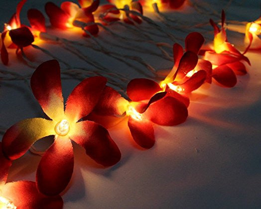 Vortaz LED Frangipani Flower String Lights Deep Red 20 Flowers Battery