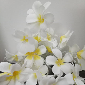 Vortaz LED Frangipani Flower String Lights White 20 Flowers Battery 3m