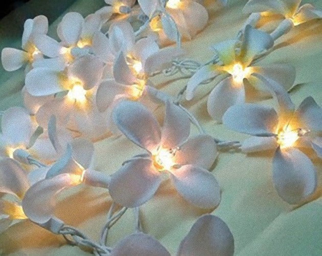 Vortaz LED Frangipani Flower String Lights White 20 Flowers Battery 3m