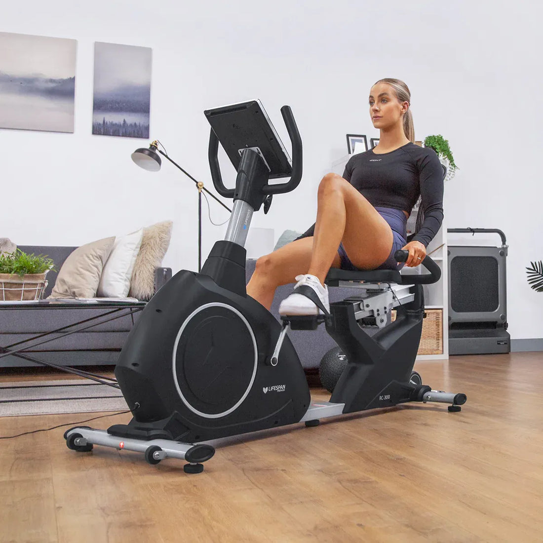 Lifespan Fitness RC-300 Recumbent Bike with Lumbar Support