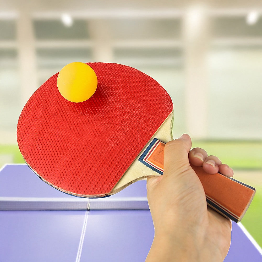 Portable Table Tennis Set with Net Paddles Balls for Travel Office