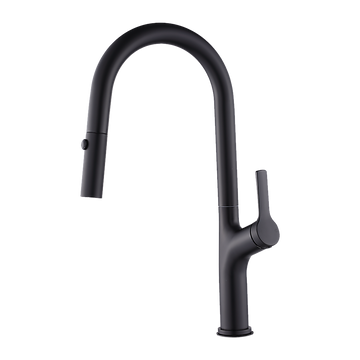 Della Francesca Pull-Out Basin Mixer Tap WELS 5 Star Black