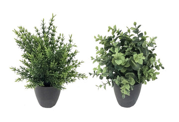 Vortaz Artificial Grass Set of 2 Indoor Plant Decor Multi 25cm