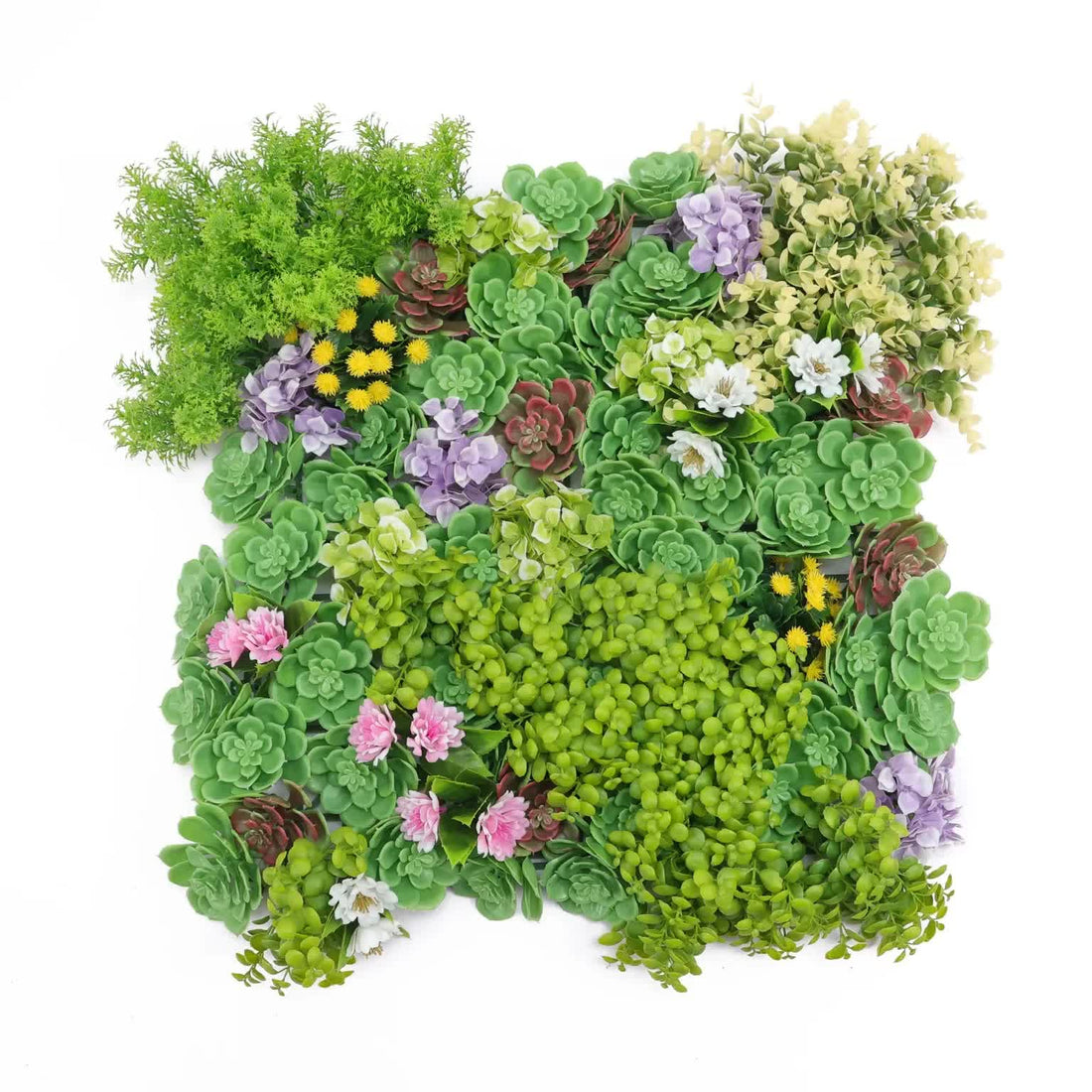 Artificial Dense Succulent Green Wall Panel 50cm UV Resistant