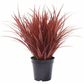 Vortaz Potted Ornamental Dense Grass UV Resistant 38cm Burgundy