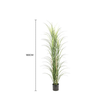 Vortaz Potted Artificial Yucca Reed Grass UV Resistant 180cm Green