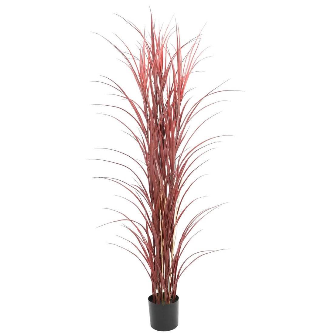 Vortaz Potted Artificial Yucca Reed Grass Burgundy UV Resistant 180cm