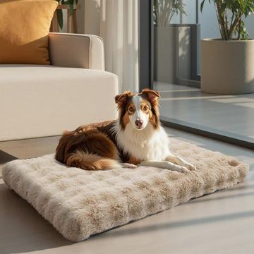 Plush Dog Crate Bed Ultra Soft Removable Cover Non-Slip Base Beige 76x51x10cm