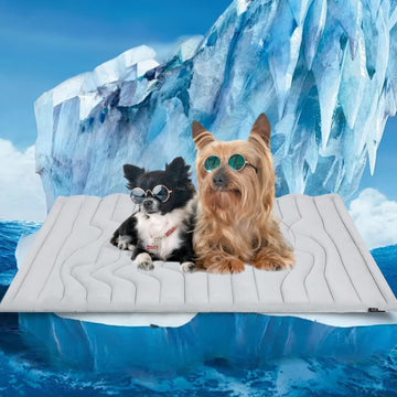 2 Pack Self-Cooling Dog Mat Reversible Pet Bed Pad 122x71cm up to 35kg