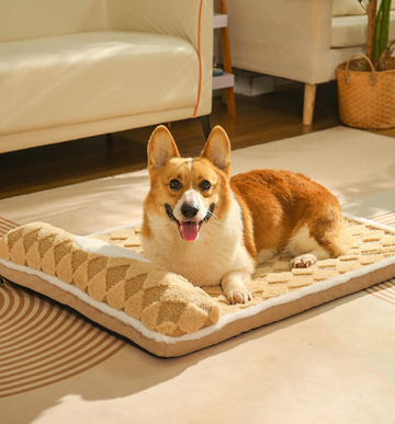 Plush Pet Bed Mat XL Extra Large High-Density Padding Coffee-Milk