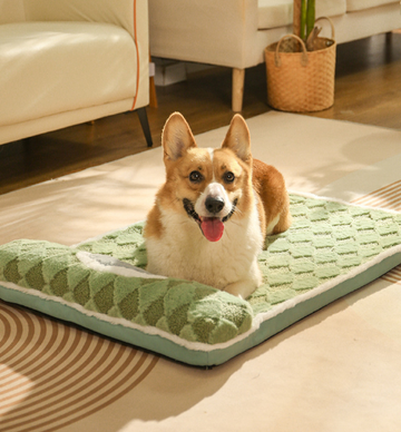 Plush Pet Bed Mat XL Extra Large High-Density Padding Light Green