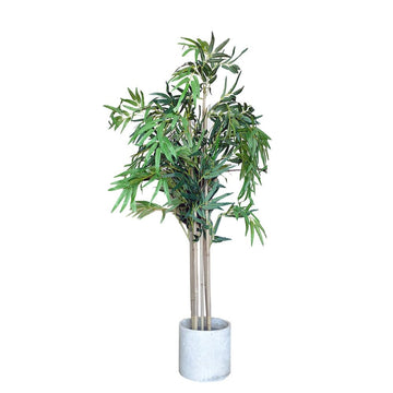 Indoor Potted Bamboo Plant with Concrete Base 120cm