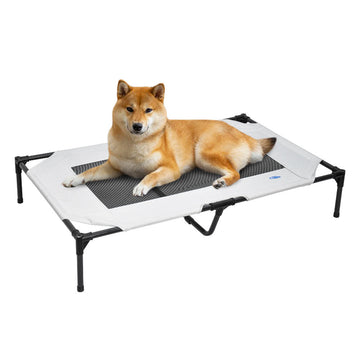 Elevated Dog Bed Steel Frame Breathable Mesh Grey