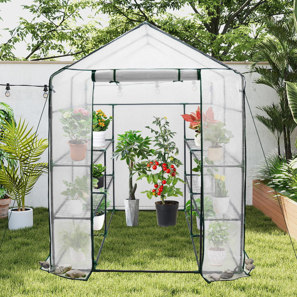 Walk-In Tunnel Greenhouse with 3-Tier Shelving Iron Frame 143x143x195cm