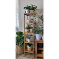 Bamboo slim shelving unit used as plant stand with potted plants on each tier including pothos and snake plants in room corner