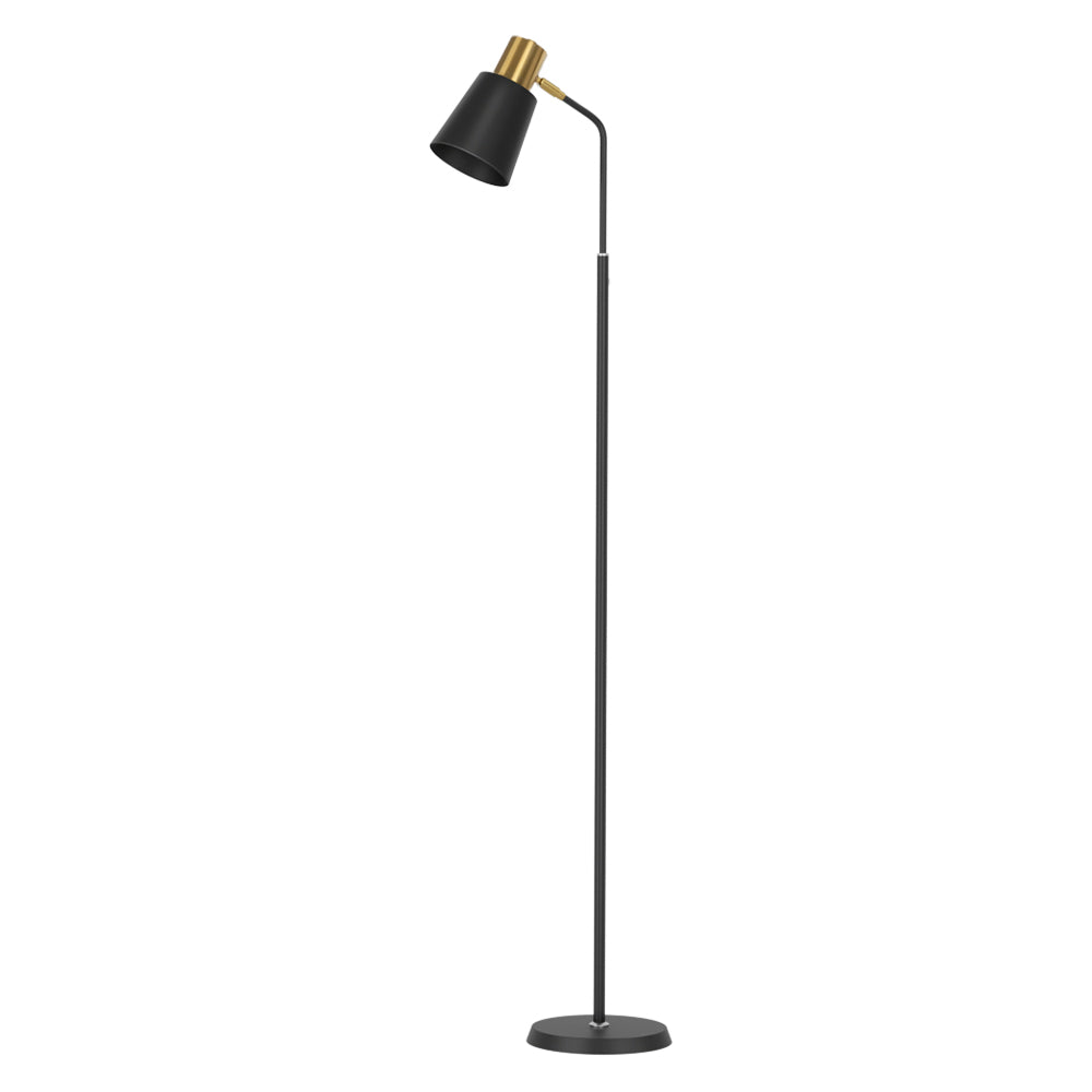 Black and gold reading floor lamp lit beside grey sofa in lounge room with abstract art print and bookshelf in background