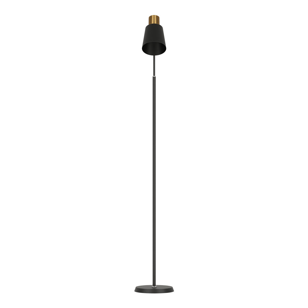 Black and gold reading floor lamp with straight pole and downward-facing cone shade on white background, front view