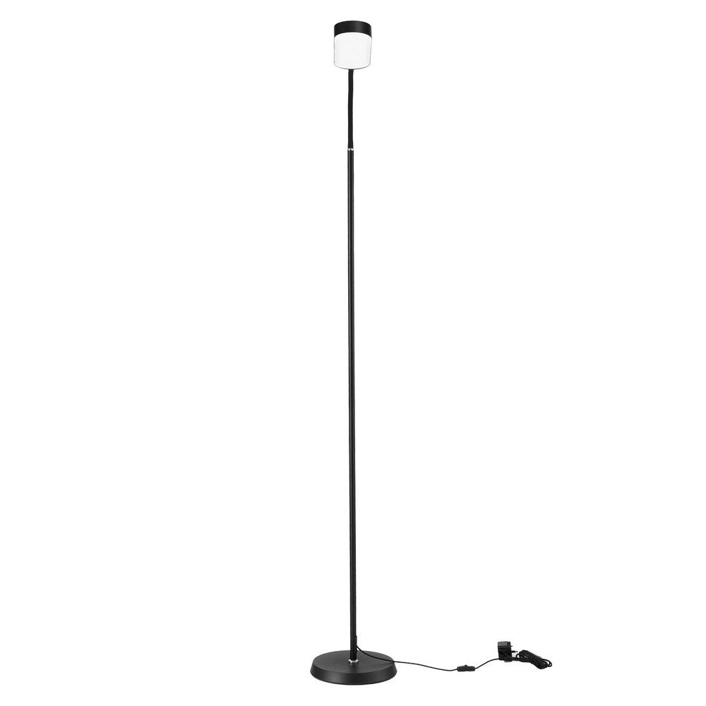 Black LED floor lamp with slim straight pole, small rounded LED head, round flat base and inline dimmer on white background