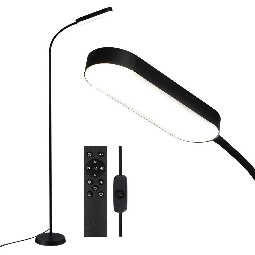 Black LED gooseneck floor lamp with oval head, shown with remote control and inline dimmer switch on white background